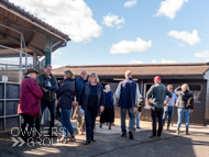 PN280925-137 - Paul Nicholls Stable Visit